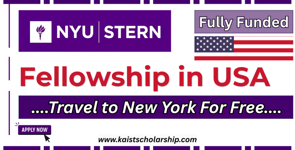 NYU Stern Fellowship