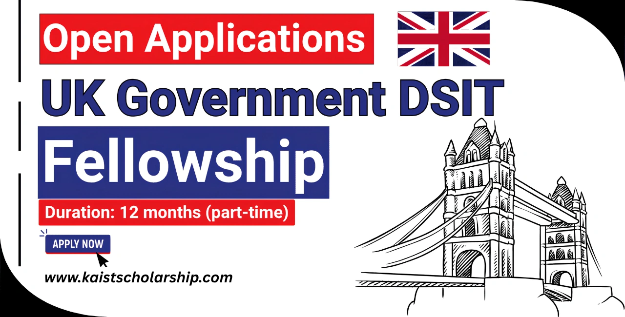 UK Government DSIT Fellowship
